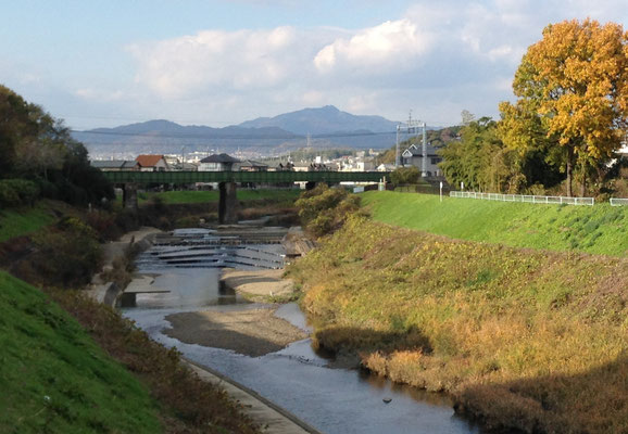 小畑川、乙訓橋からみた愛宕山