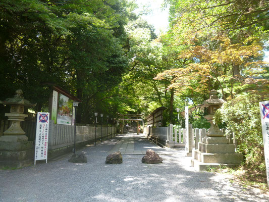 参道(明暦年間整備)