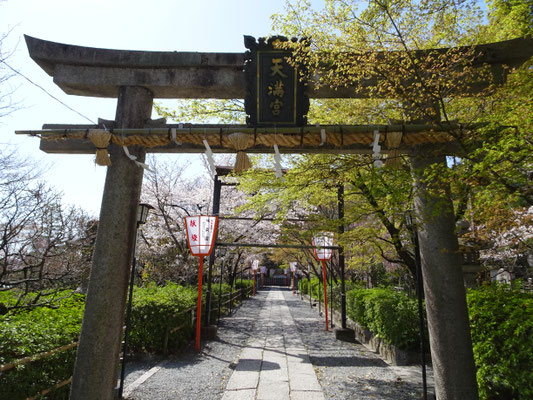 昭和の新参道。