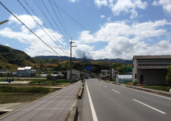 光明寺の伽藍は丘陵と谷の地形を巧みに利用している。境内の深い緑に竹の鴫谷山・群青の西山が折り重なる。