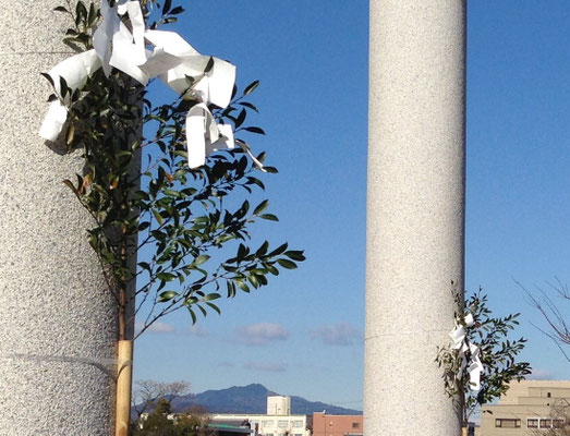 2018新春　大鳥居の間から愛宕山