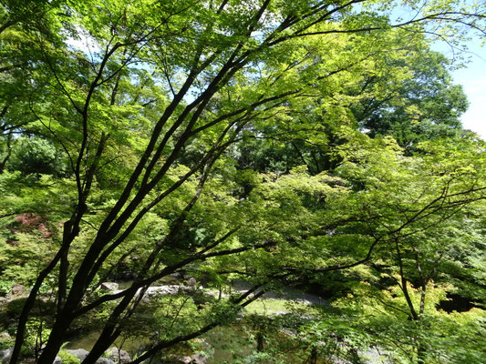 錦景苑