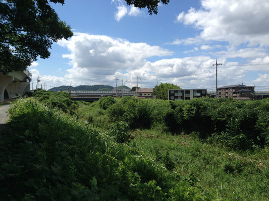 小泉川下流、松田橋付近(大山崎町)から男山。山崎の港はもうすぐだ。