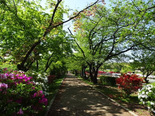 八条ヶ池