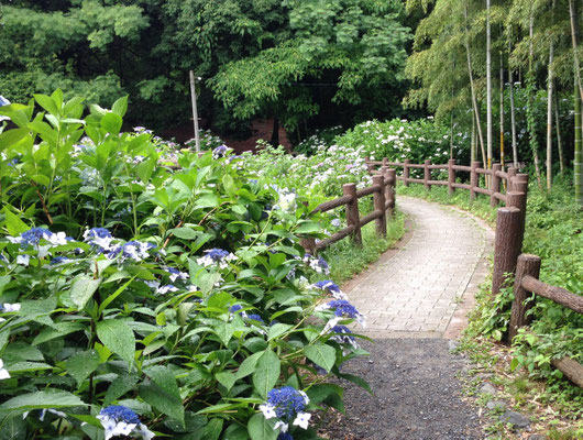 長岡公園