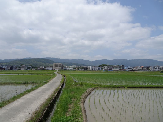 今里から西山　右京三条二坊付近