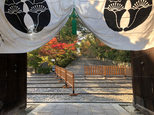 もうすぐ紅葉まつり