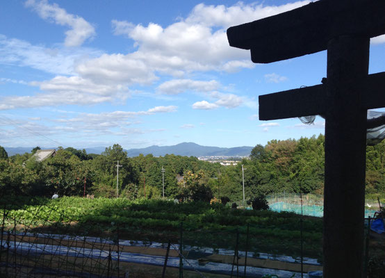 子守勝手神社からもうすぐ紅葉。左の大きな屋根は光明寺御廟。