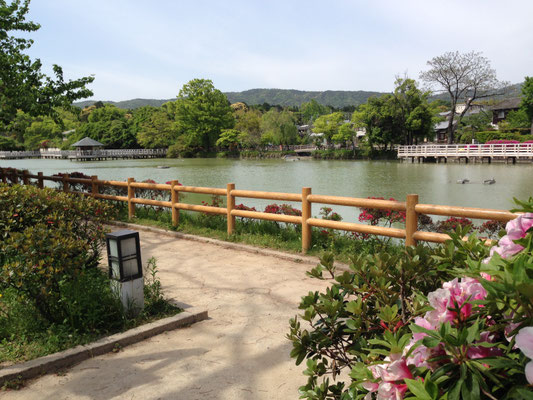 細長い池のさらに奥、西山を背景に中島を望む。