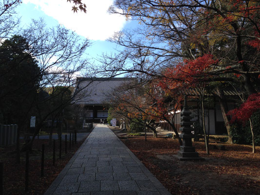 晩秋の御影堂。京都における近世の浄土宗本堂として、知恩院、知恩寺に次ぐ規模を誇る。