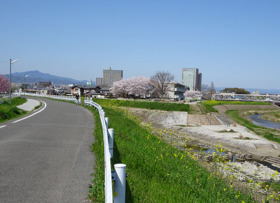 犬川の合流点。犬川堤防は桜の名所。