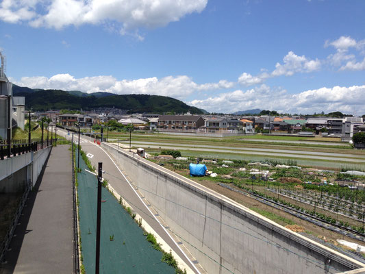 小泉川左岸の段丘。縄文遺跡の宝庫だ。