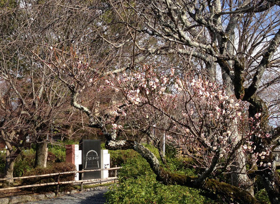 梅を添えて「古今伝授の間ゆかりの地」石碑