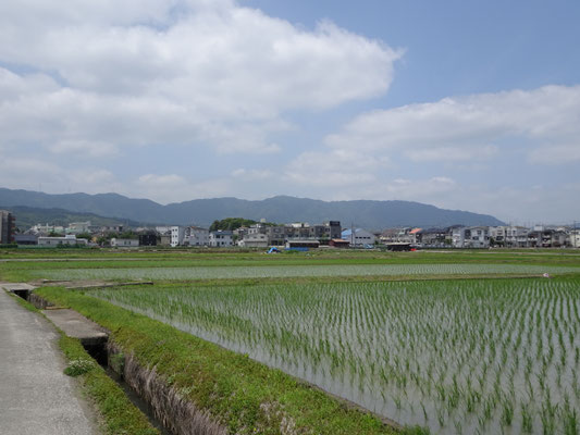 今里から老ノ坂　右京三条二坊付近