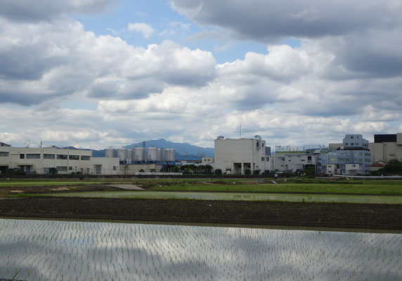 羽束師七間堀川から愛宕山　左京六条三坊付近