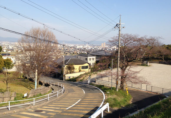 眼下に長岡京故地が広がる。右上の高いビルのところがJR長岡京駅付近。