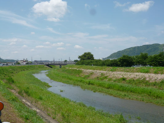 小畑川下流、天王山をみる。
