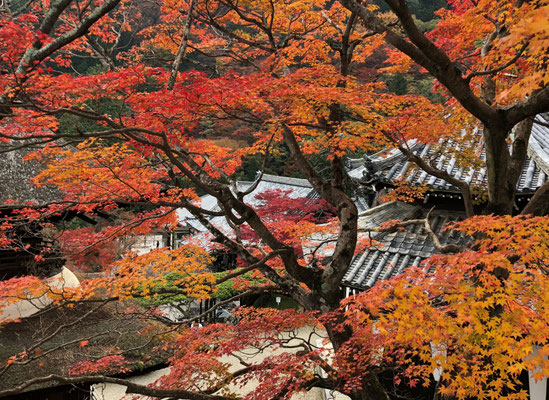 善峯寺