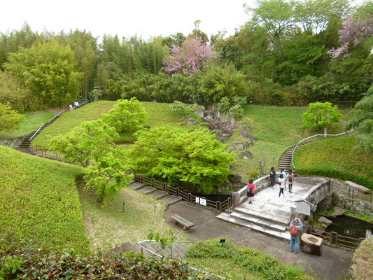 洛西竹林公園