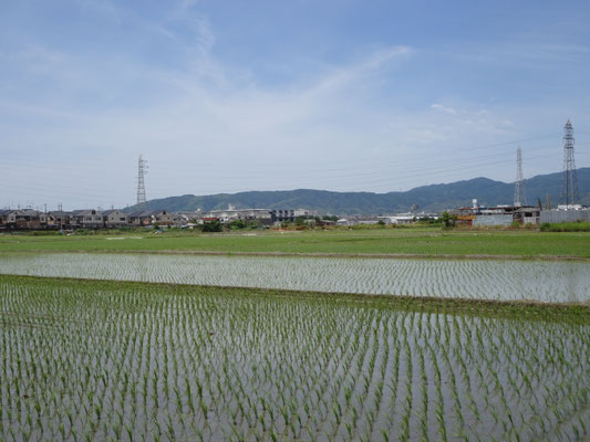 久我(京都市)から