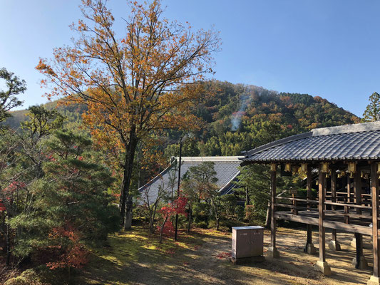 御影堂から釈迦堂を望む