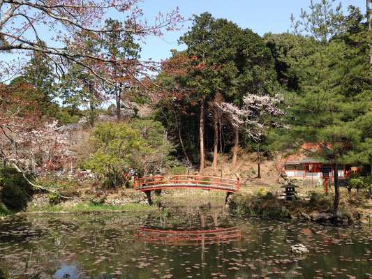 大原野神社