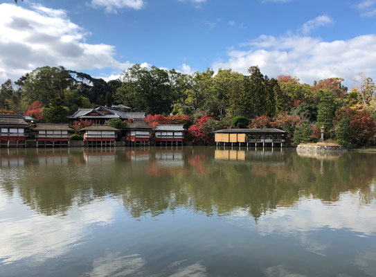 まさに錦水