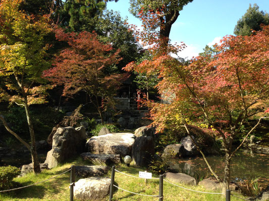 瀧音もすずやかに、錦景苑の見ごろ。