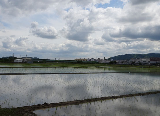 羽束師から天王山・男山　左京六条三坊付近
