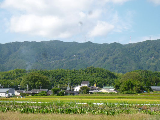 拡大すると、西山中腹に善峯寺の伽藍がみえますよ。