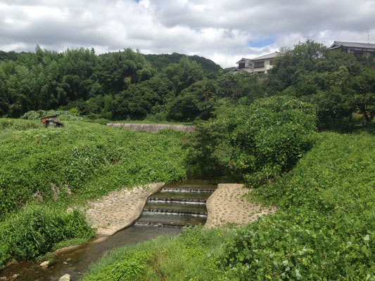 柳谷橋から上流。正面の崖は奥海印寺城。