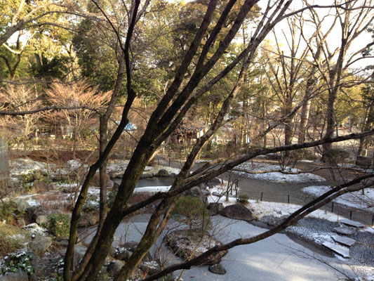 錦景苑の池に氷が張りました。
