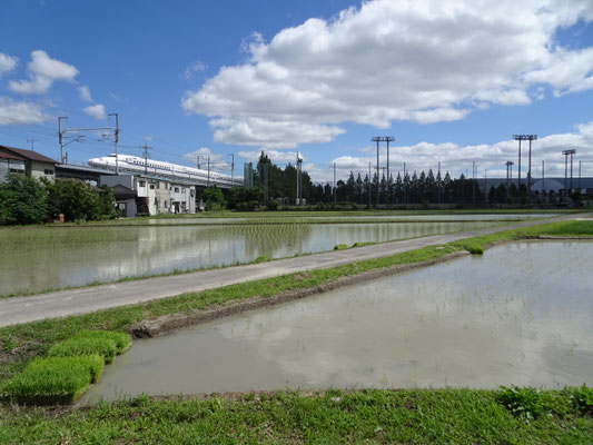 長岡京市神足小字七ノ坪付近