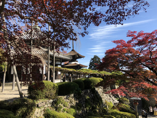 経堂・多宝塔・遊龍の松