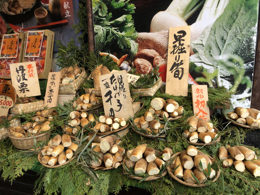 向日町神崎屋の初掘り筍