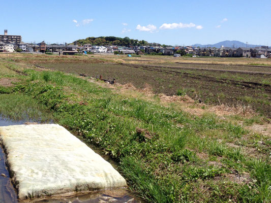 今里からみた向日丘陵と比叡山のコラボ。長岡京故地を体感できる。