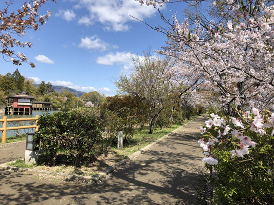 八条ヶ池