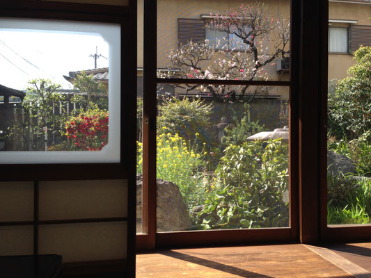 神足ふれあい町家、１本の木に赤・白・ピンクの花が咲く花桃。