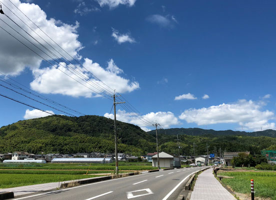 光明寺遠望
