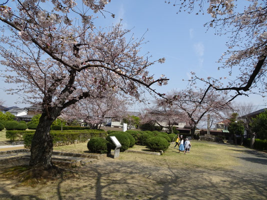 大極殿公園