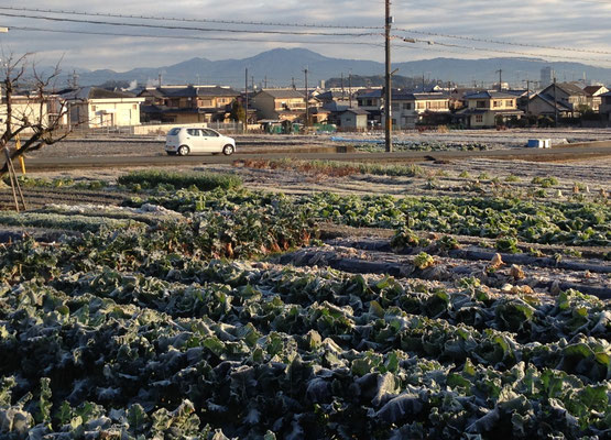 寒い朝、丹波街道から比叡山。