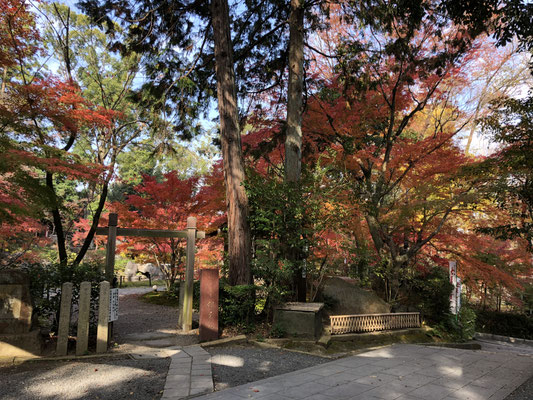 錦景苑
