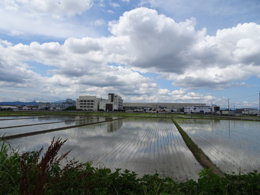 羽束師七間堀川から北　左京六条三坊付近