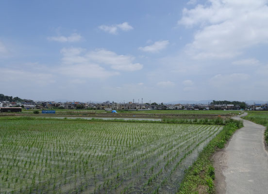 今里から長岡宮跡　右京三条二坊付近