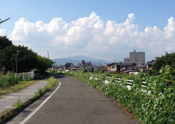 小畑川と犬川の合流点から