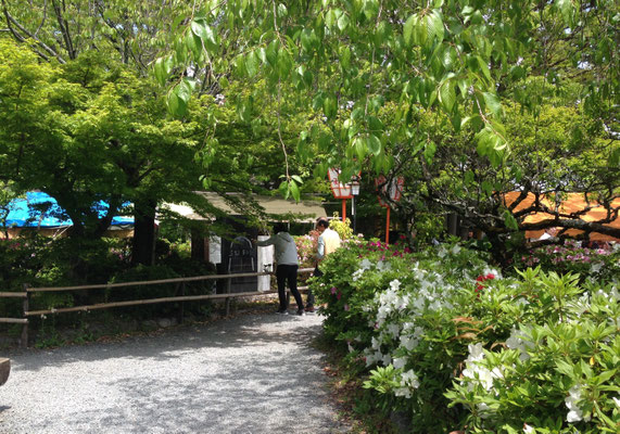 「あの細長い建物がそうだ！」の声。小さな説明板から伝わる文化の力に驚く。