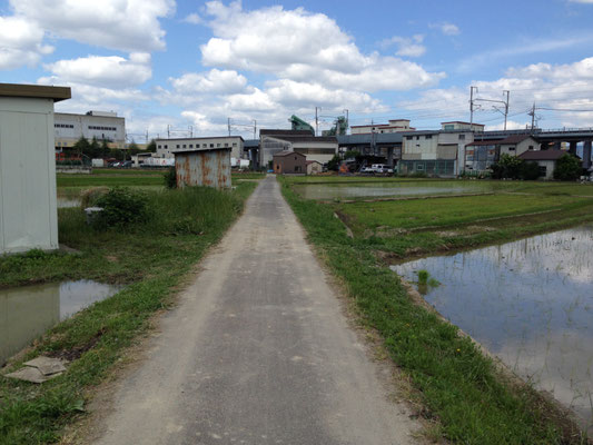 田圃のなかを斜めに通る久我縄手。長岡京市立スポーツセンターの北。正面は新幹線。