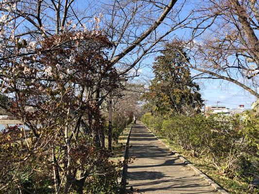 八条ヶ池