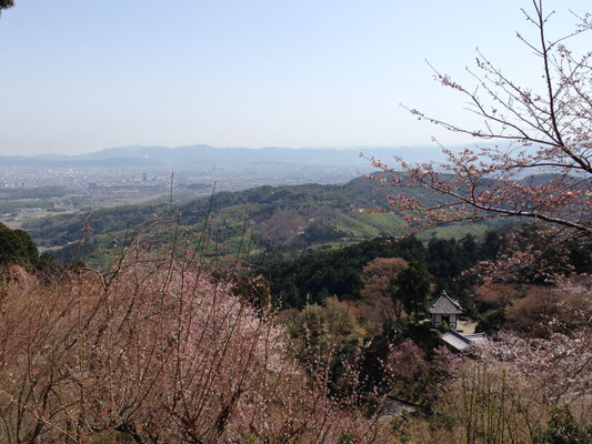 飛賀山遠望