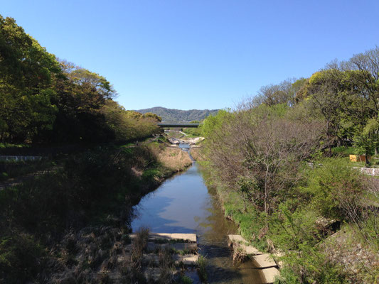 小畑川上流、洛西ニュータウン(京都市西京区)。